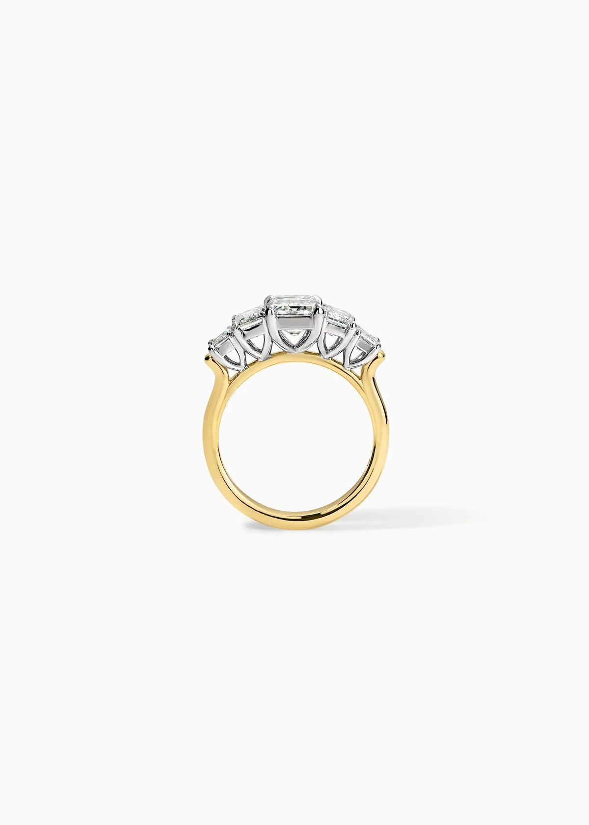 Nicci Ring